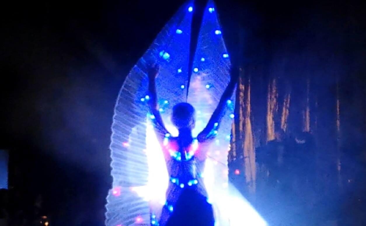 Die Professionelle Led- und Lichtshow
